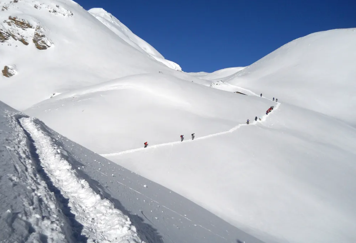 Bali Pass Trek